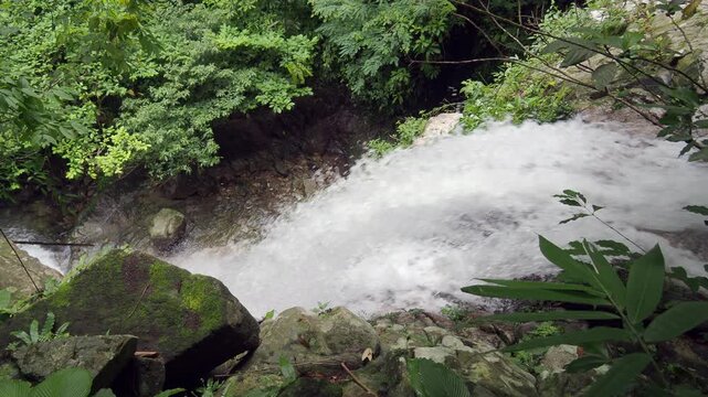 Waterfall 357 and nature in the lush forest