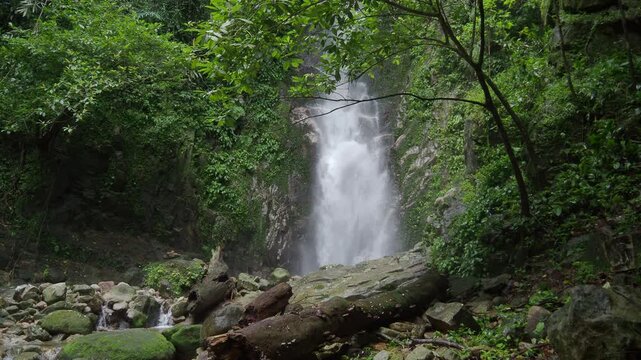 Waterfall 357 and nature in the lush forest