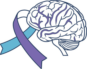 Vector illustration of a human brain with purple and blue awareness ribbons symbolizing brain health, neurological disorders, Alzheimer's awareness, and mental health support in a clean outline style