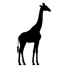 Giraffe silhouette side standing view gracefully