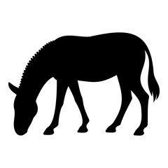 Zebra silhouette grazing view 1