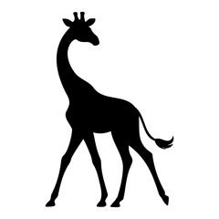 Giraffe silhouette walking ahead but looking behind