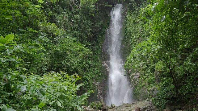 Waterfall 357 and nature in the lush forest