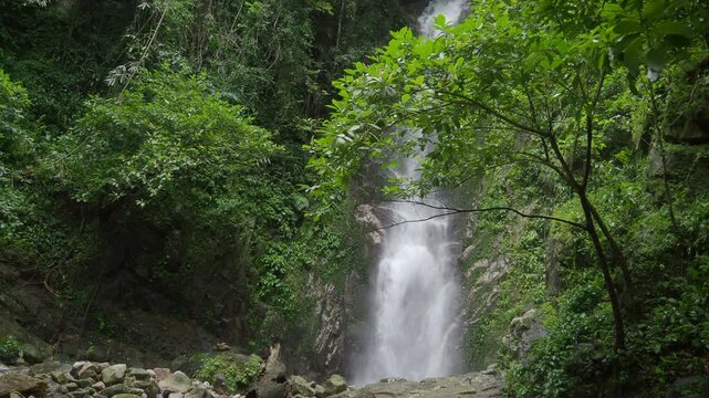 Waterfall 357 and nature in the lush forest
