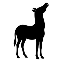 Zebra silhouette looking up view