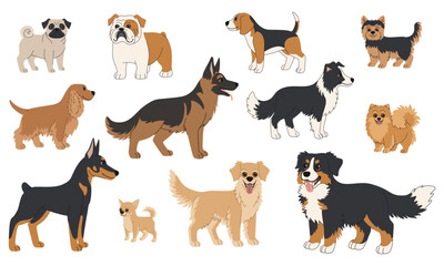 Cartoon dog breeds set. Collection of large, medium, and small dogs of different breeds. Shepherd, Doberman, Bulldog, Pug, Chihuahua and other dogs. Cute pets on white background.