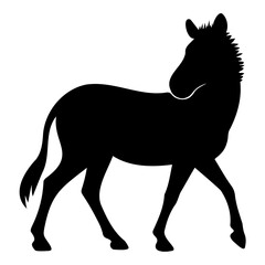 Zebra silhouette walking and lokking back