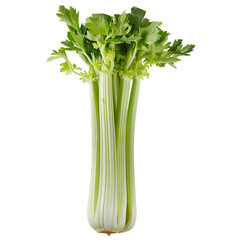 Fresh Celery Stalk with Vibrant Green Leaves