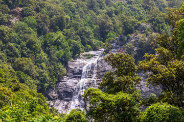 Cascade du Voile de la Mariée waterfall in lush forest landscape, France, Corsica, 14 June 2025