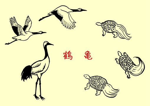 筆で描いた鶴と亀　線画