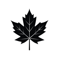 Black silhouette of a maple leaf on a white background