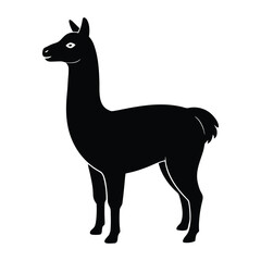 Black silhouette of a llama standing on a white background