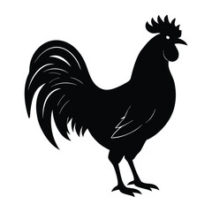 Black silhouette of a proud rooster standing on a white background