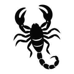 Stylized black silhouette of a scorpion on a white background