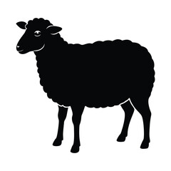 Black sheep silhouette standing on white background