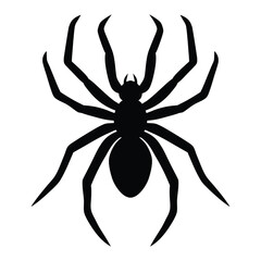 Black silhouette of a spider with many legs on a white background