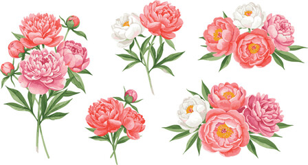 Set of watercolor flowers isolated on white background. Hand-drawn in watercolor set  illustration.