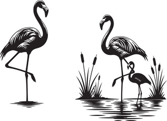 Elegant Black and White Flamingo Family Silhouette.