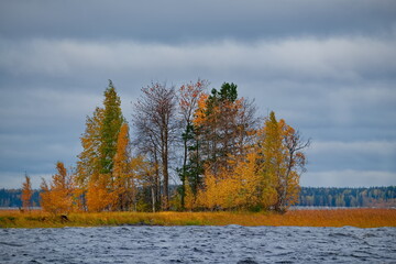 Russia. republic of karelia. Autumn on the overgrown Islands of lake Vodlozero, famous for its wooden Orthodox churches.