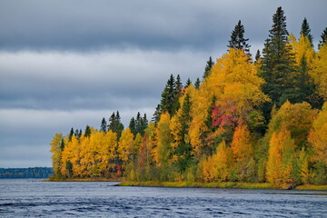 Russia. republic of karelia. Autumn on the overgrown Islands of lake Vodlozero, famous for its wooden Orthodox churches.