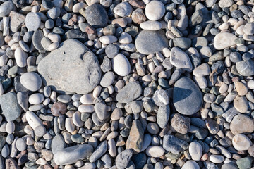 Colorful Pebbles Scattered on a Beach During a Sunny Day in a Coastal Location