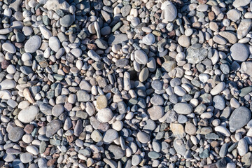 Soothing Collection of Smooth Pebbles on a Serene Riverbank in a Sunny Afternoon