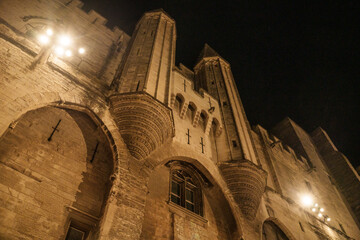 Entrée Palais Gothique en France