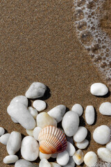 Shell and Pebbles on Wet Beach Sand with Ocean Foam , Vertical Summer Scene