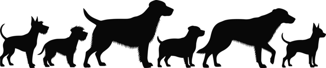Dog breed silhouette collection, various size comparison chart, black pet outline, animal vector row, domestic canine graphic, white background artwork