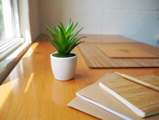 Green succulent plant on wooden desk with notebooks
