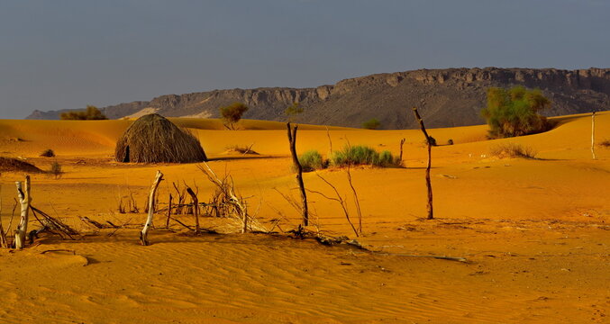 West Africa. Mauritania. View of the desert sands with fragments of nomadic camps of local tribes along the southwestern borders of the Sahara Desert.