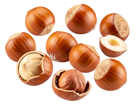  Whole and Halved Hazelnuts Suspended Mid-Air, Gravity Defying Layout