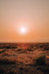 Vibrant summer desert landscape glowing under a radiant red sunset Generative AI