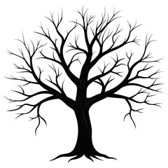 Obraz premium Bare Tree Silhouette