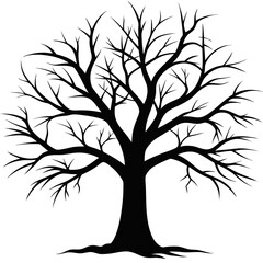 Obraz premium Bare Tree Silhouette