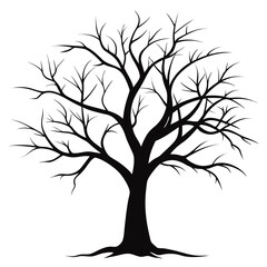 Obraz premium Bare Tree Silhouette