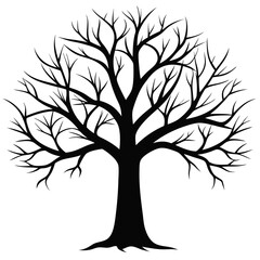 Obraz premium Bare Tree Silhouette
