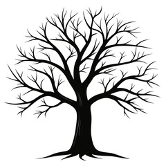 Obraz premium Bare Tree Silhouette