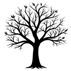 Obraz premium Bare Tree Silhouette