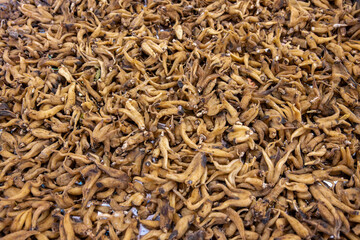 A Close-Up View of Dried Mushrooms Displaying Their Unique Textures and Colors