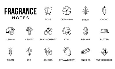 Notes fragrance icon set, notes perfume icon set,  notes ingredients icon set, hand drawn icon set design
