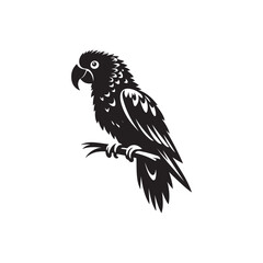 Parrot Vector (1).eps