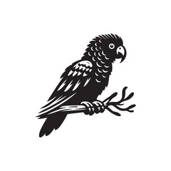 Parrot Vector (3).eps