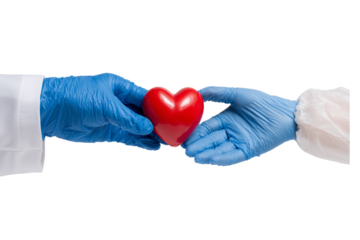 Gloved Hands Holding Red Heart on Transparent Background