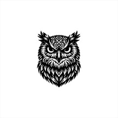 Obraz premium Intricate Black and White Owl Illustration.