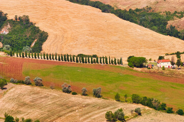 Toskanische Landschaft mit Zypressenallee und Bauernhaus bei Montepulciano.
Typische toskanische Hügellandschaft mit goldenen Feldern, grünem Weideland, einer malerischen Zypressenallee und einem trad