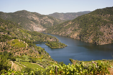 View over Tua River in Portugal