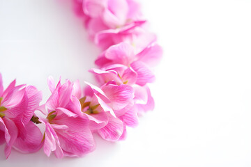 Delicate Pink Flowers A Close Up View of a Garland of Blossoms Showcasing the Softness and Beauty of Floral Arrangements Against a Clean White Backdrop