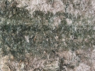  wall texture background. Abstract background and texture for design.