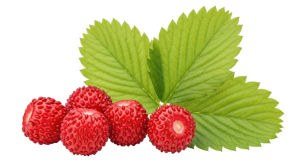 Isolated Wood Strawberries